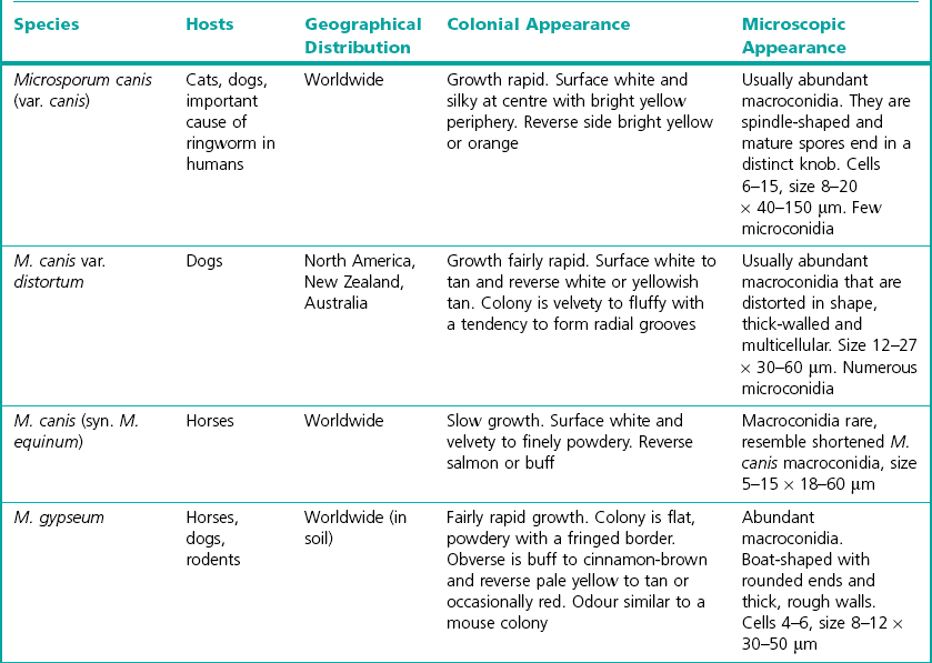 Dermatophyte Infections