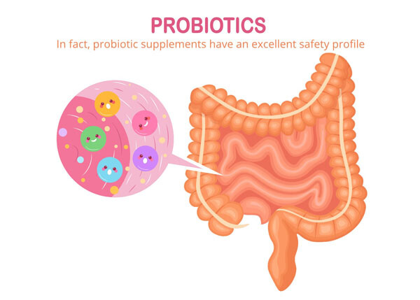 Probiotic supplements