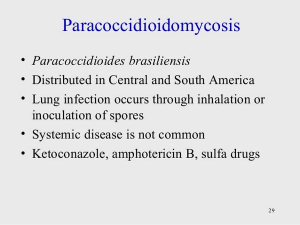 Ketoconazole for paracoccidioidomycosis